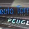 Cubre Zócalos Adhesivos Peugeot 208 - Imagen 2