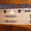 Cubre Zócalos Adhesivos Peugeot 406